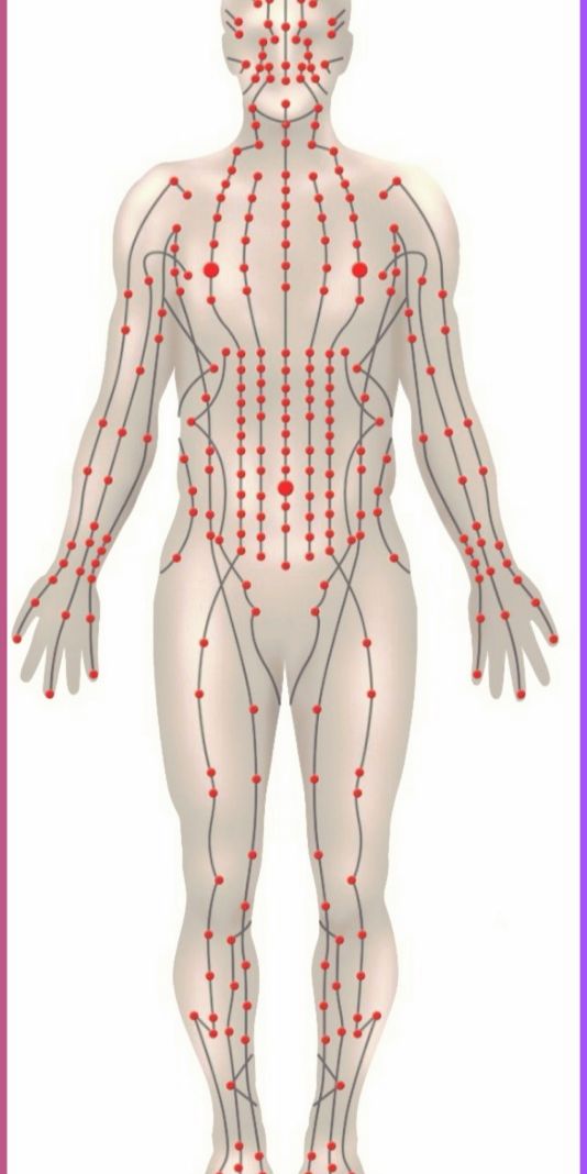 Mapa Meridianos do Corpo Humano.